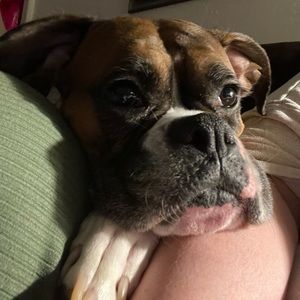 Meet your Posher, Barbara